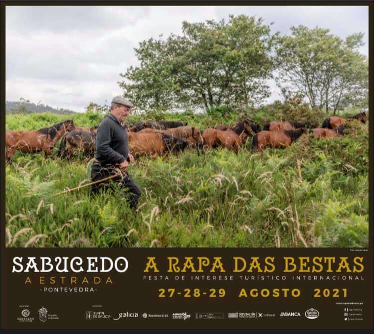 Rapa das Bestas de Sabucedo (2024) en A Estrada