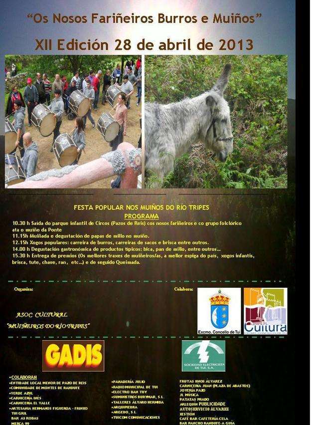 XXI Romaría de Os Nosos Fariñeiros Burros e Muíños (2025) en Tui