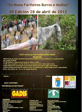 Fechas, información, programa, cartel, imágenes, mapa y ubicación de XXI Romaría de Os Nosos Fariñeiros Burros e Muíños (2025)  en  Tui