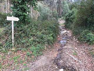 Ruta As Pegadas nas Pedras