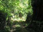 Ruta da Fraga en San Xoán de Río