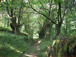 Ruta de los Castros en Navia de Suarna