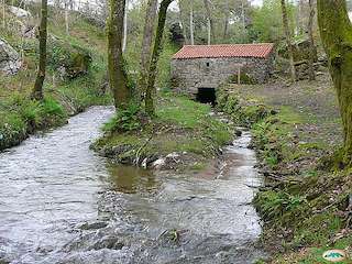 Ruta de los Molinos de A Freixa