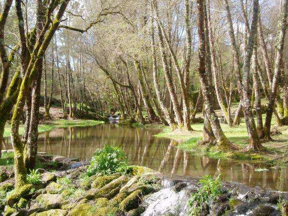 Ruta de Senderismo A Boutureira en San Cibrao das Viñas