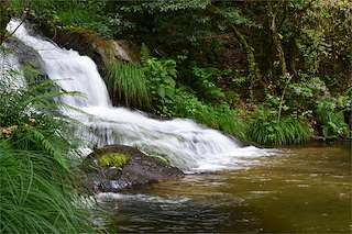 Ruta del Río Curantes