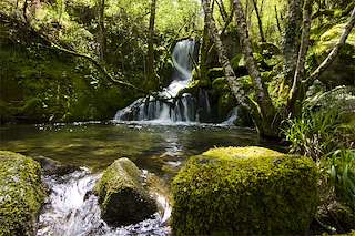 Ruta del Río Miño