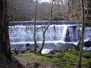 Ruta do Río Xunco