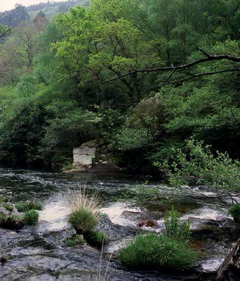 Ruta Morgallón - Río Sor (PR-G 8) en O Vicedo