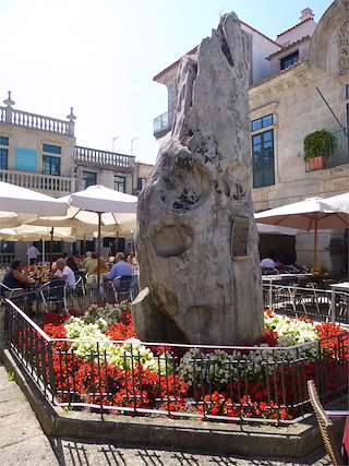 Ruta Pinzoniana