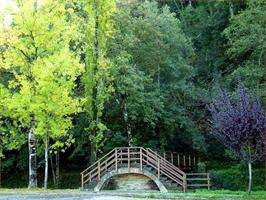 Ruta turística de Samos a Pontenova