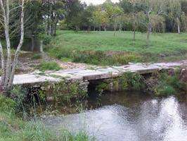 Rutas Naturales en O Rosal