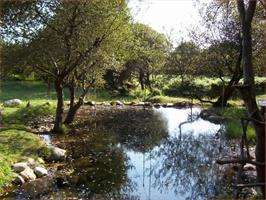 Rutas Naturales en O Rosal