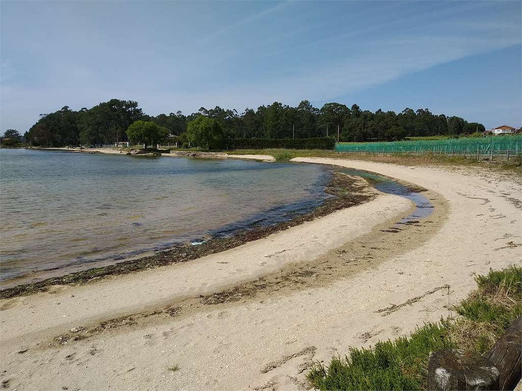 Saíñas en Cambados