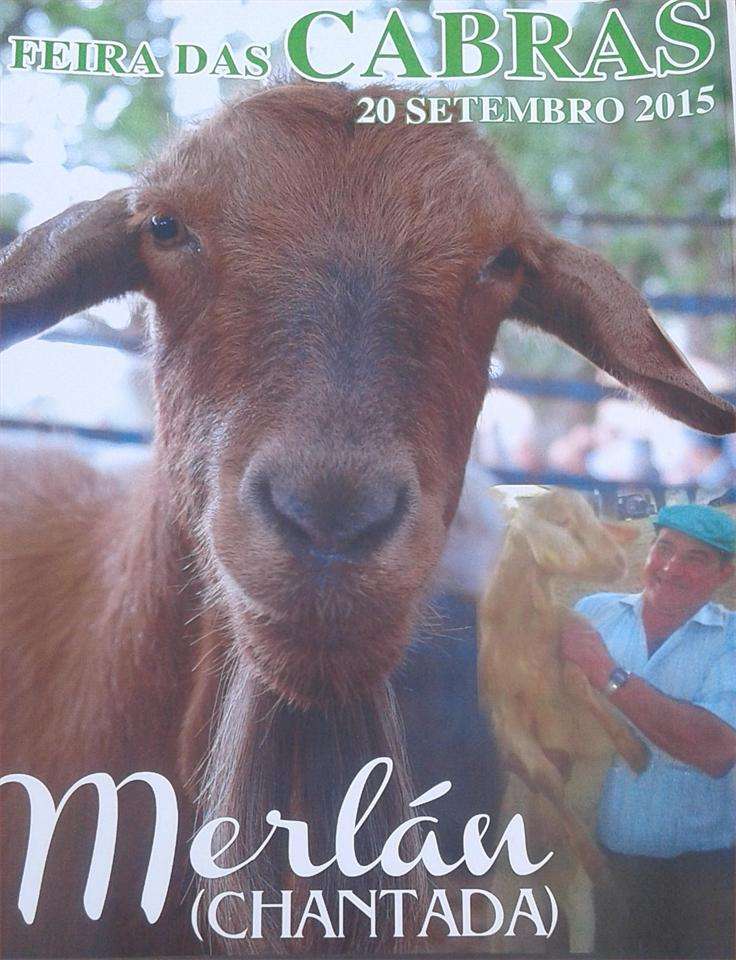 San Ciprián de Merlán - Feira das Cabras en Chantada