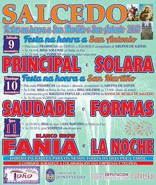 Fechas, información, programa, cartel, imágenes, mapa y ubicación de San Martiño y San Antonio de Salcedo  en  Pontevedra