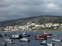 Fechas, información, programa, cartel, imágenes, mapa y ubicación de San Miguel das Uvas de Deiro  en  Vilanova de Arousa