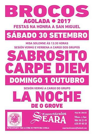 Fechas, información, programa, cartel, imágenes, mapa y ubicación de San Miguel de Brocos  en  Agolada