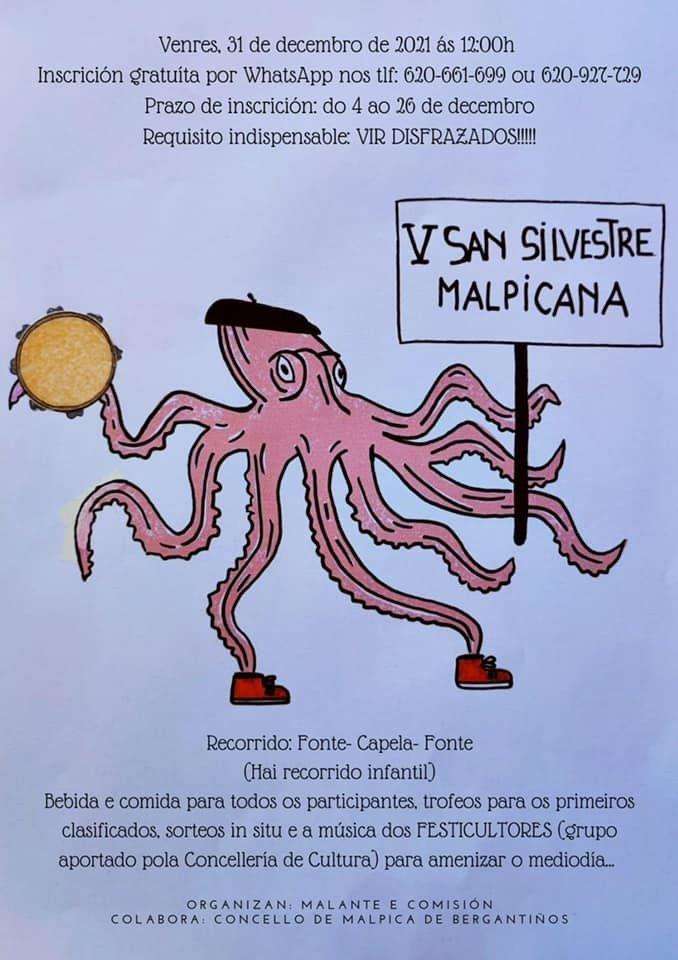 VI San Silvestre Malpicana (2024)