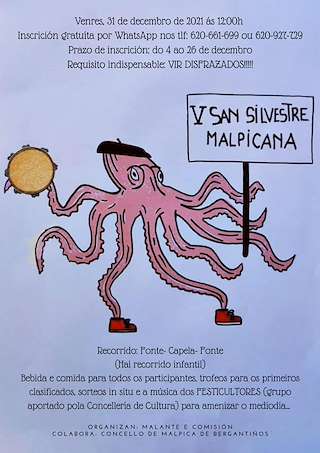 Fechas, información, programa, cartel, imágenes, mapa y ubicación de VI San Silvestre Malpicana (2024)