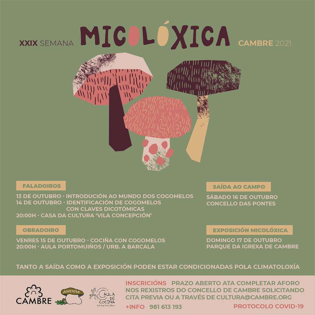 XXX Semana Micolóxica en Cambre