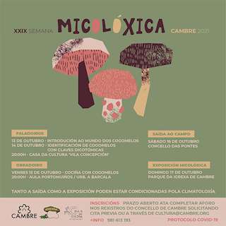 Fechas, información, programa, cartel, imágenes, mapa y ubicación de XXX Semana Micolóxica  en  Cambre