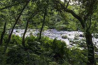 Fechas, información, programa, cartel, imágenes, mapa y ubicación de Senda do Río Lérez  en  Pontevedra