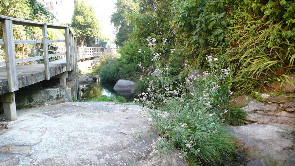 Senda Fluvial del Río Baíña en Baiona