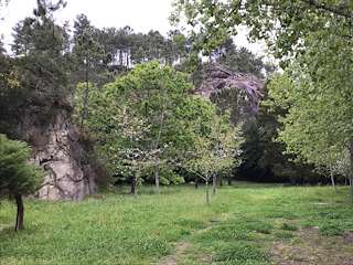 Sendeiro de Pedra Miranda