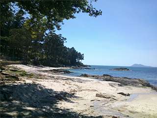 Telleira