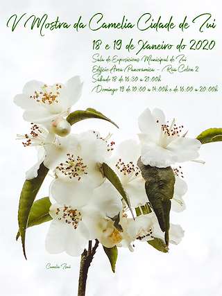 IX Mostra da Camelia en Tui