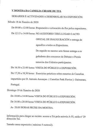 IX Mostra da Camelia en Tui