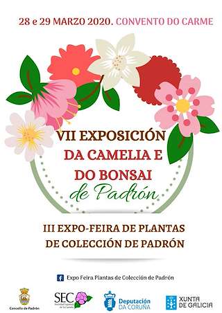 VIII Exposición da Camelia e do Bonsai en Padrón