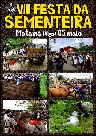 XI Festa da Sementeira do Millo de Matamá en Vigo