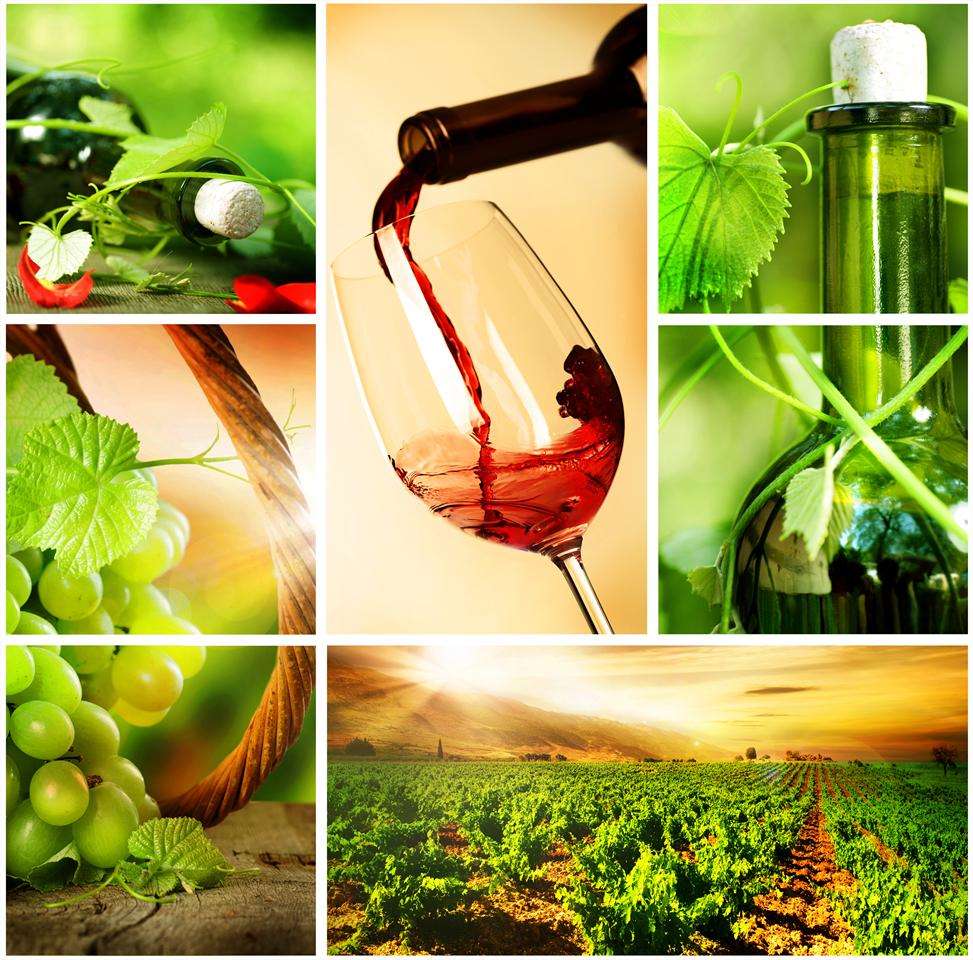 Vinis Terrae - X Salón del Vino y Licores Gallegos de Calidad en Ourense