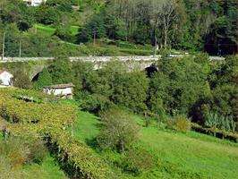 Visita a Ponte Ulla en Vedra