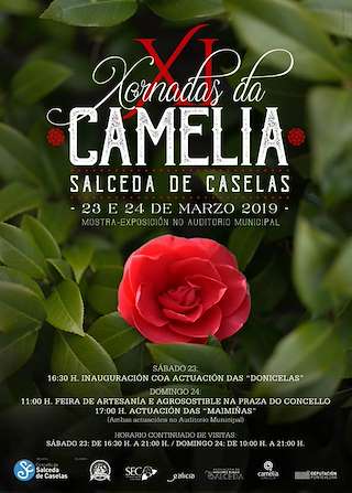 XV Xornadas da Camelia en Salceda de Caselas