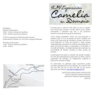 XVI Exposición de Camelias de Domaio en Moaña