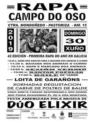 XLV Rapa das Bestas de Campo do Oso (2024) en Mondoñedo
