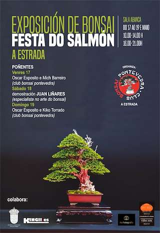 L Festa do Salmón en A Estrada