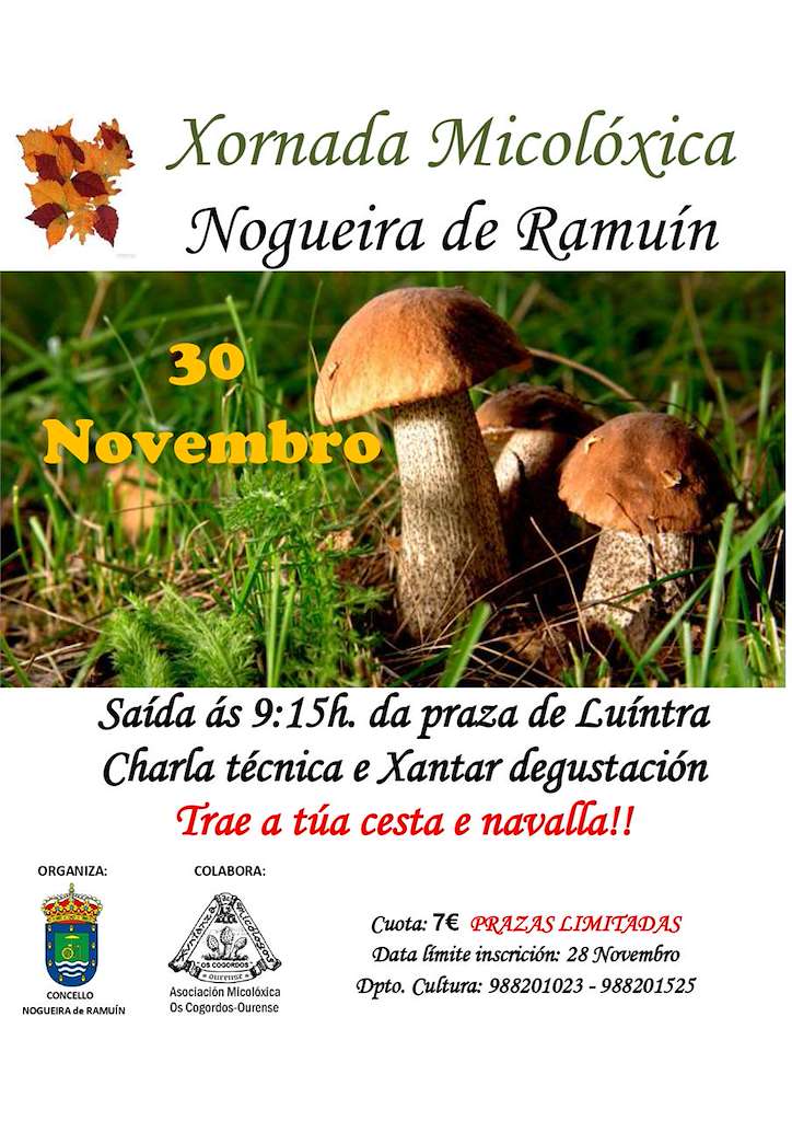Xornada Micolóxica en Nogueira de Ramuín