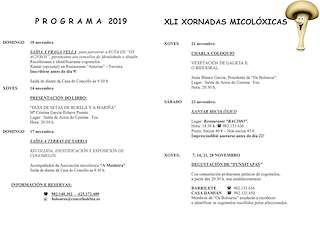 Xornadas Micolóxicas en Foz