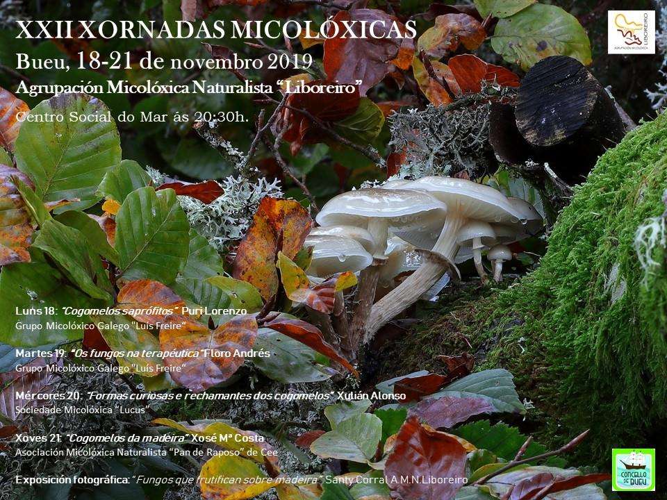 XXIV Xornadas Micolóxicas en Bueu