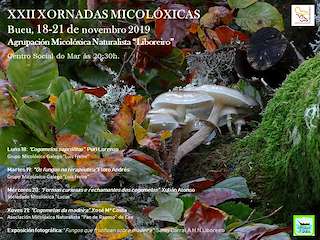 Fechas, información, programa, cartel, imágenes, mapa y ubicación de XXIV Xornadas Micolóxicas  en  Bueu