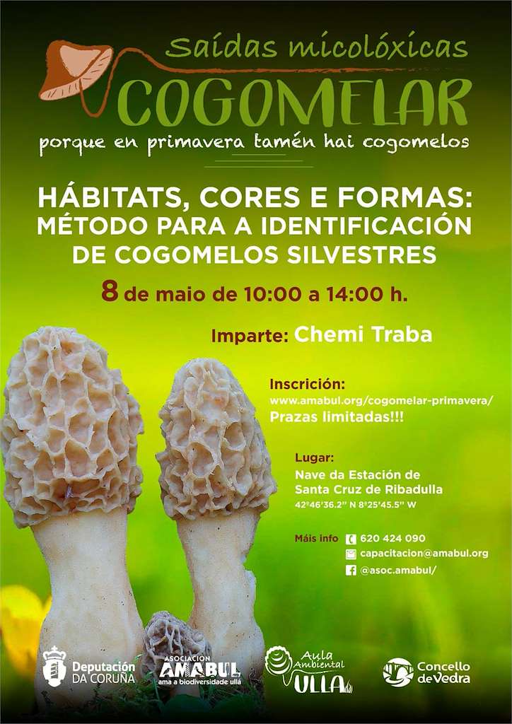 Xornadas Micolóxicas Cogomelar en Vedra