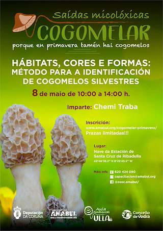 Fechas, información, programa, cartel, imágenes, mapa y ubicación de Xornadas Micolóxicas Cogomelar  en  Vedra