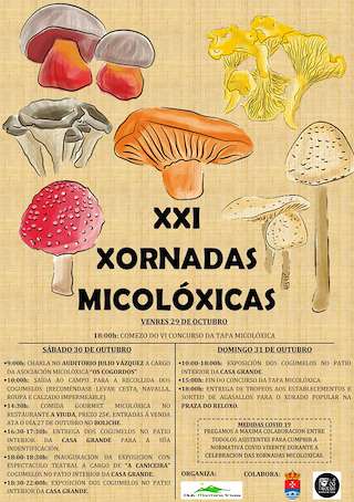 Fechas, información, programa, cartel, imágenes, mapa y ubicación de XXIII Xornadas Micolóxicas - VIII Concurso de Tapas  en  A Pobra de Trives