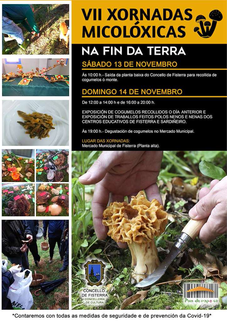 IX Xornadas Micolóxicas  en Fisterra