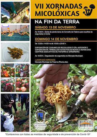 Fechas, información, programa, cartel, imágenes, mapa y ubicación de IX Xornadas Micolóxicas   en  Fisterra