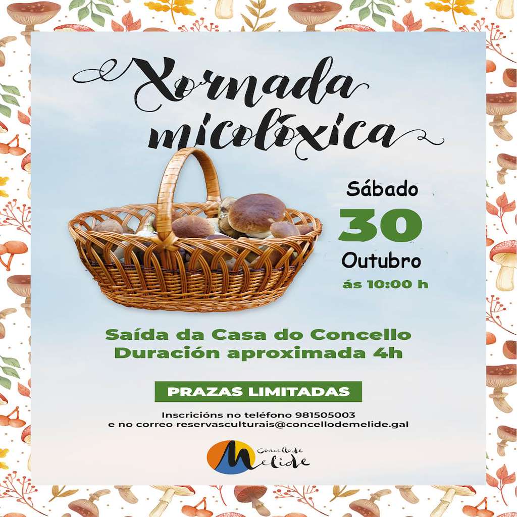 Xornadas Micolóxicas en Melide