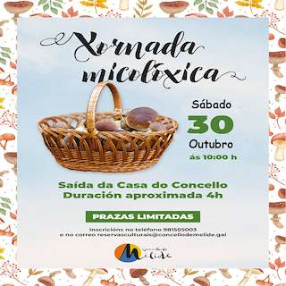 Fechas, información, programa, cartel, imágenes, mapa y ubicación de Xornadas Micolóxicas  en  Melide